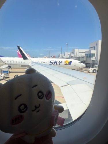 ﾜｧｰｲ！


東京なう✌️
明日はちいかわ店巡りする☺️