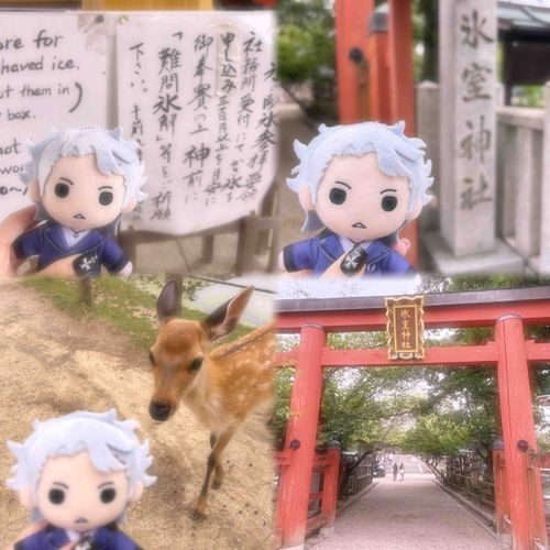 氷室先生とバンビ(概念)
氷室神社は参拝したら勉強パラ上がりそう📖
バンビちゃんかわいかった🦌