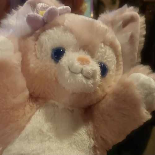 ままにお迎えして貰った日、たくさん写真撮ってもらったから少しづつ投稿していくね՞⸝⸝>  ̫ <⸝⸝՞
ままはこのポーズがかわいくておなじ種類の子たちからわたしを選んでくれたんだって🥺🫶🏻これは一緒に海底２万マイルに並んでる時！(ままは私にメロメロで今も写真だけが増えていってるみたい💧‬)