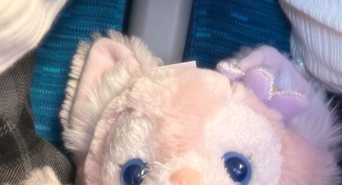 新幹線に乗って今のおうちへきたよ🚄💖