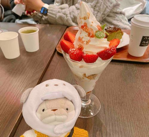 スイーツ納めしてきたよ🍓
みなさん、良いお年を🫶