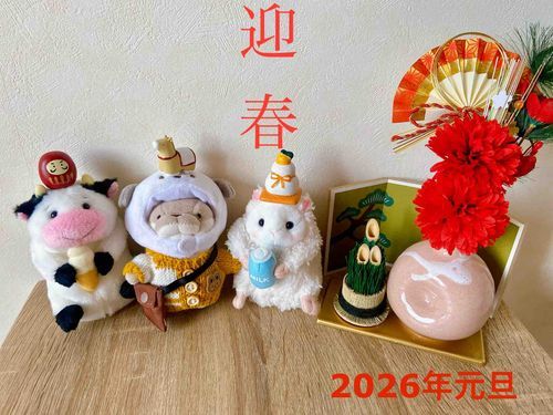 あけましておめでとうございます🐴
今年もなかよく、たのしく、かわいく、よろしくお願いします。
おいしいものをいっぱい食べましょう。