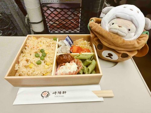 出張に同行したよ🚄
お疲れさまの駅弁🍱🫶