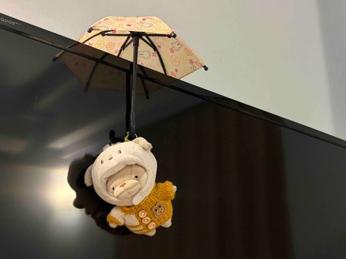 お空を飛んでるフリだよ☁️