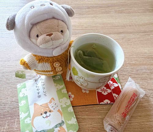 のんびり、ひと休みだよ🍵