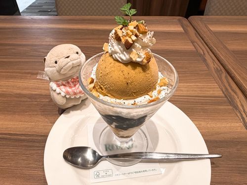 コーヒーゼリーサンデー☕️
オトナの味( ･◡･ )♫•*¨*•.¸¸♪