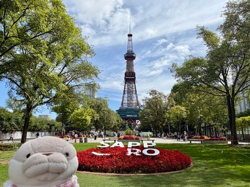 北の大地をおさんぽしました🗼