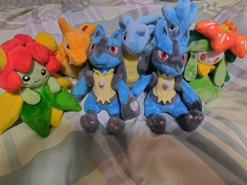 最近全く構えてなかったポケモンぬい達。
