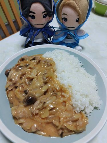 ポークストロガノフやって
お洒落な料理やな
…主、食べ過ぎちゃう？