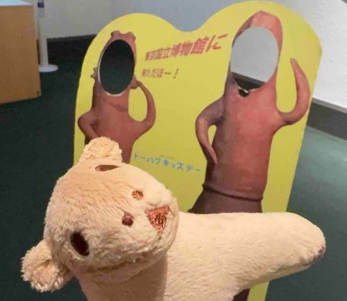 フレキシブル