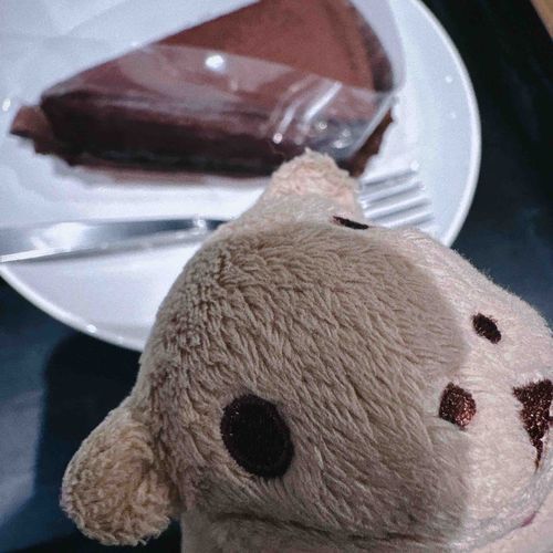 うつし世