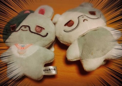 これは、さきょたうんとばしたうんが、おうちにとうちゃくしたひのしゃしん
てきとうにおいてもかわいいね。
さきょたうんはくびかしげ
ばしたうんはおなかぽんぽこ
