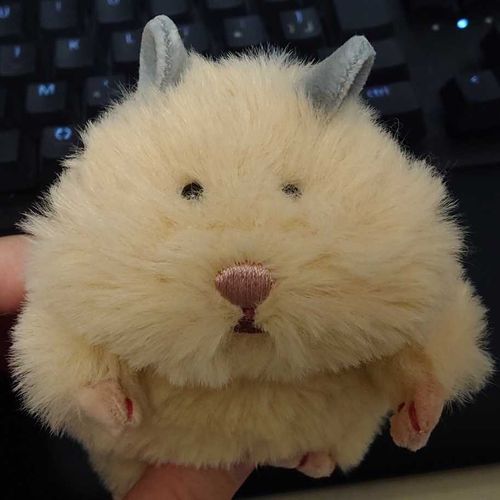 念願のはむにぎりが我が家に来てくれた。名前はまだ決まってないのできなこ(仮)。はやく名前をつけてあげたい。

お顔のトリミングを少ししたけどもう少しやっても良さそう。