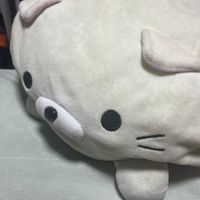 いとたん(イトウ)