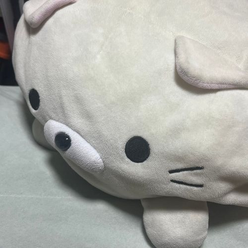もちもちな子達が大量にいます