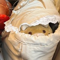 らてちゃん(らて)