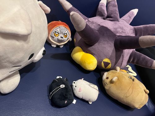 ▼バチンウニ　しんいりのすがた

まだトゲがちゃんとトゲトゲしてる頃……