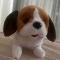 こばやし