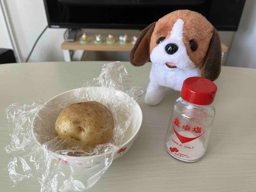 おはよう☀️きょうの あさごはんは これ🥔
とっても おいしい しんじゃがの きせつが きたよ❗️🥔
レンジで あっためて しおを ふって いただきます😆🧂