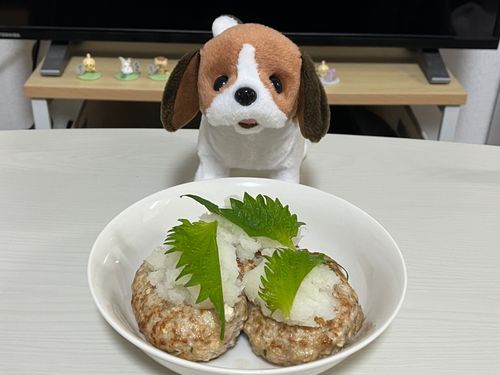 きょうの ごはんは とうふハンバーグ‼️
おいしすぎる😵