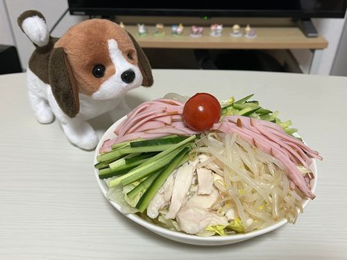 ひやしちゅうか はじめました🐶
はやいかな❓でも さいきん あったかいから もう くちが さっぱりしたものを もとめてるよ🤭