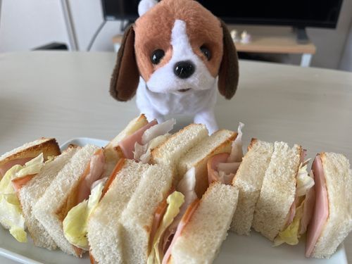 きょうの おひるは サンドイッチ たべたよ🥪
バターぬって🧈チーズのせて🧀トースターで すこーし やいた パンで ハムとレタスを はさんだよ😆
おうちの なかだけど ちょっと ピクニックきぶん🎶