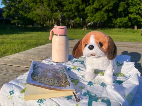 きょうは おそとで どくしょ してきたの📕🌳