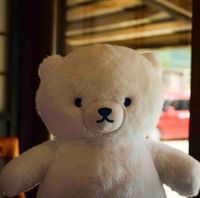 くまぽん