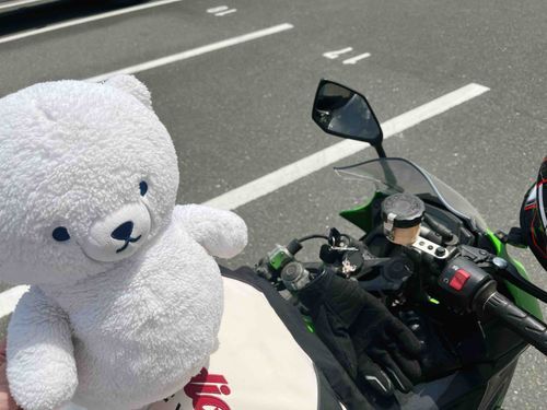 いっしょにバッテリーあがっちゃったバイクのお迎え待ってるの。。あつい。