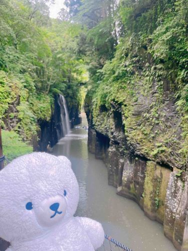 宮崎にきたよ。お船にのったの。