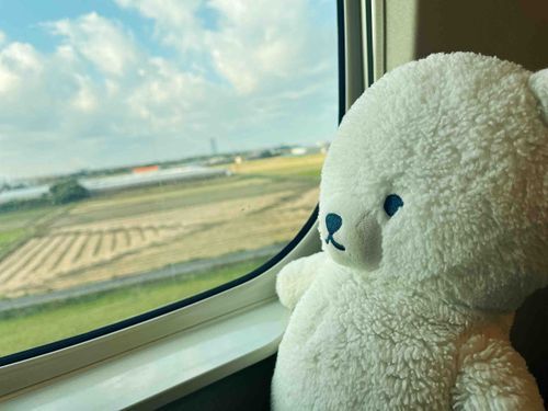 今度はどこにいくのかな？