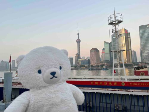 くまの初めての海外旅行❣️上海🇨🇳 (1月)