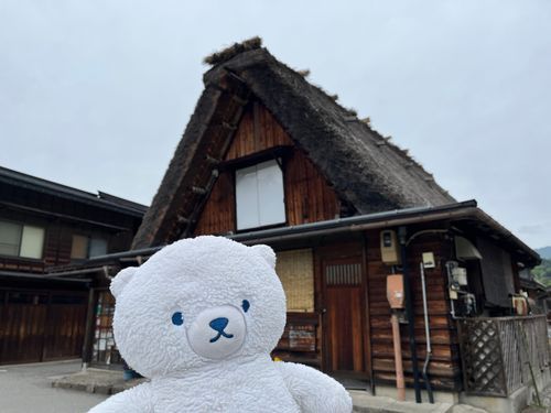 白川郷に行ったんだよ。かやぶきのおうちいっぱいだったね