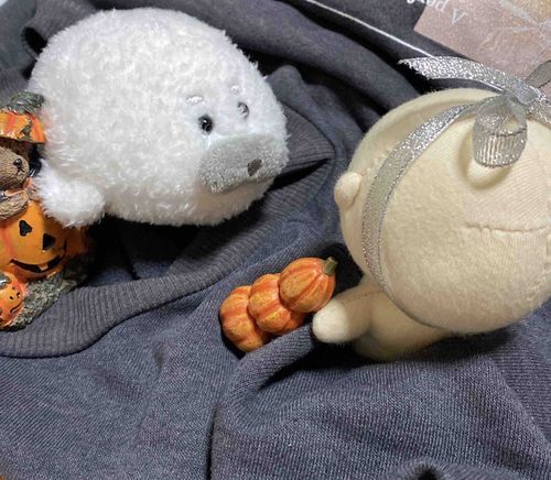 どうもぼくです
さっき投稿をしようとしたらまちがえて消えました。😤ふん
ハロウィン🎃のじゅんび！！！！！してる！！あざらしと！！！( ; ･᷅ὢ･᷄ )