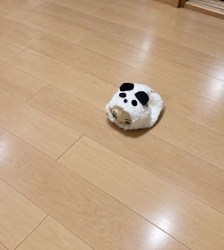はろういんにむけて
おばけぱんだ
