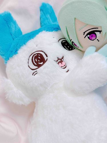 ハチワレちゃん？
