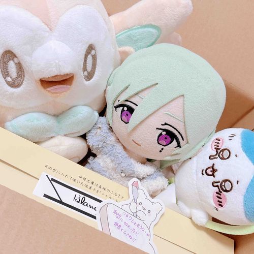 まよぬちゃんのおうちからあたらしいおともだちきたー！