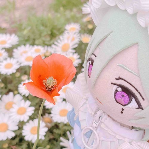 おさんぽ！