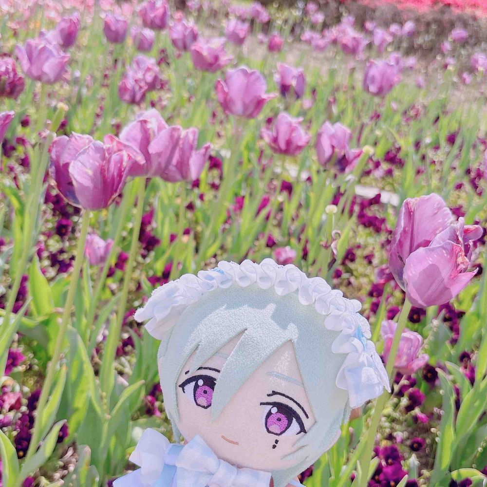 おはなー！🌷