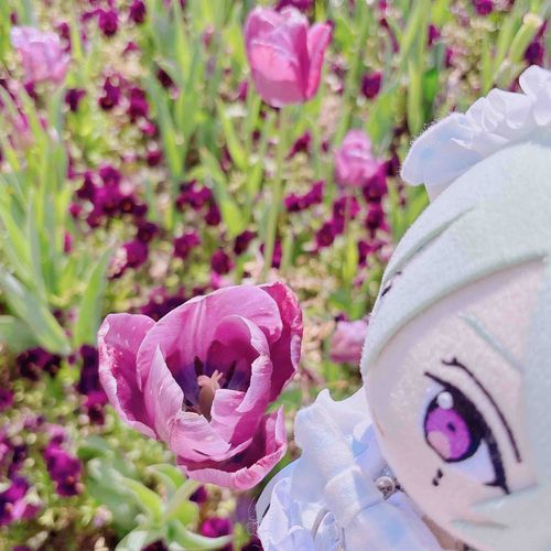 おはなー！🌷