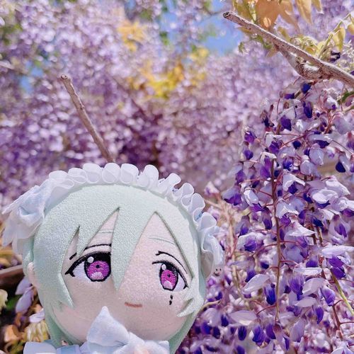 すごいおはな！