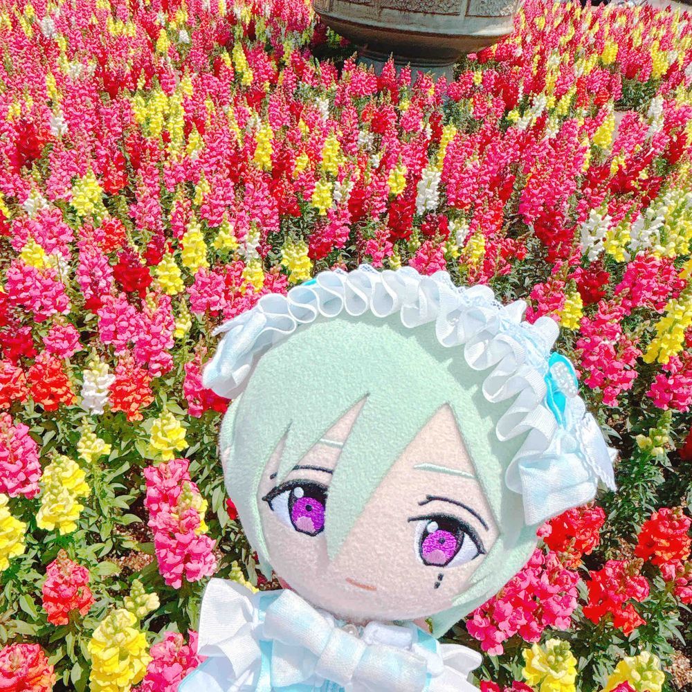 すごいおはな！