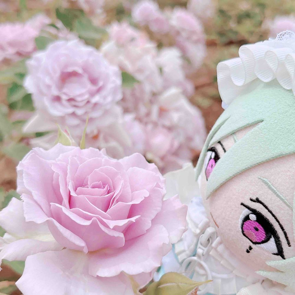 おはなー！ばら！