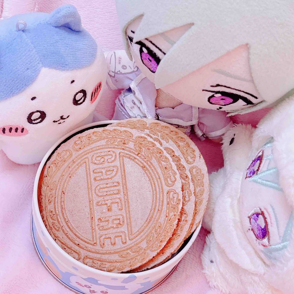 まよぬちゃんのままにもらったはちわれちゃん！
