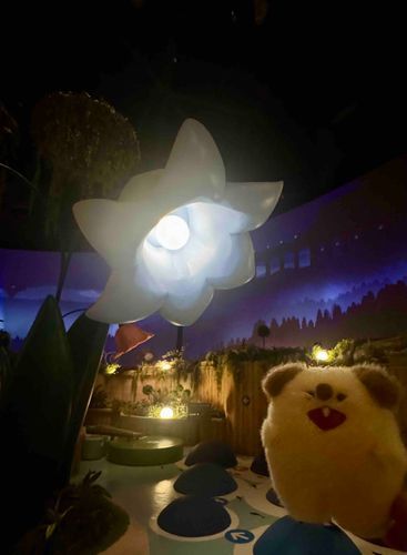 大きなお花とわんぱ🎶