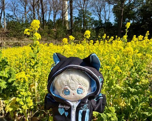 くうと菜のはな