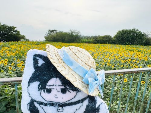 🌻