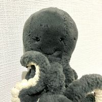 おーちゃん(&タコたち)