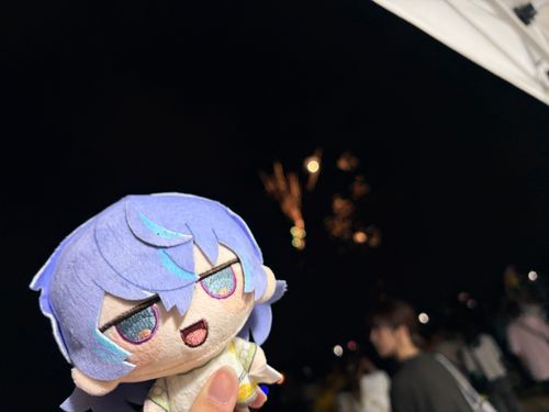 全然花火を見逃した店番の🐙