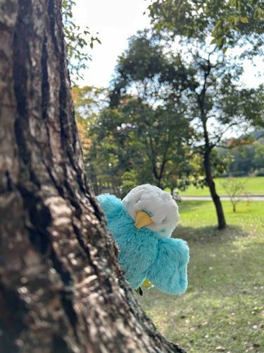 いないいない　ばぁ！